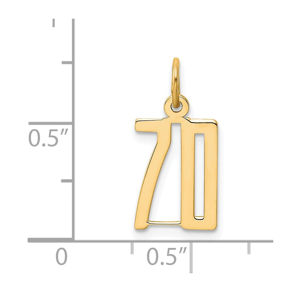 14K Yellow Gold Small Elongated Number 70 Charm