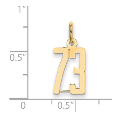14K Yellow Gold Small Elongated Number 73 Charm