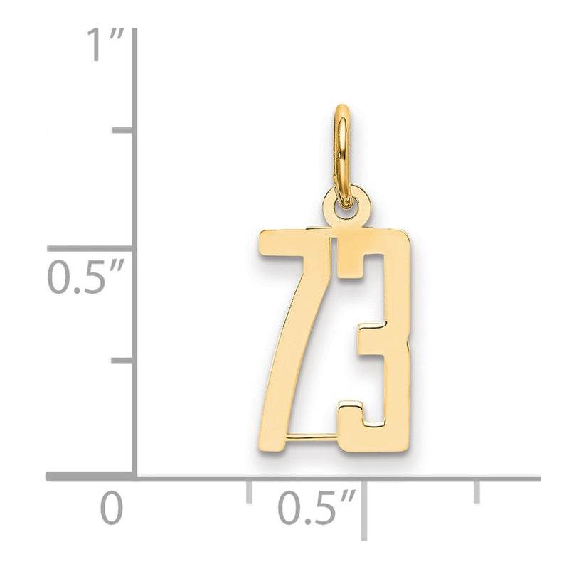 14K Yellow Gold Small Elongated Number 73 Charm