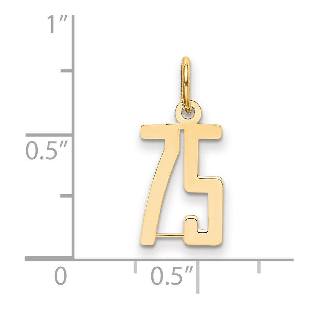14K Yellow Gold Small Elongated Number 75 Charm