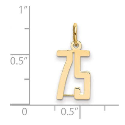 14K Yellow Gold Small Elongated Number 75 Charm
