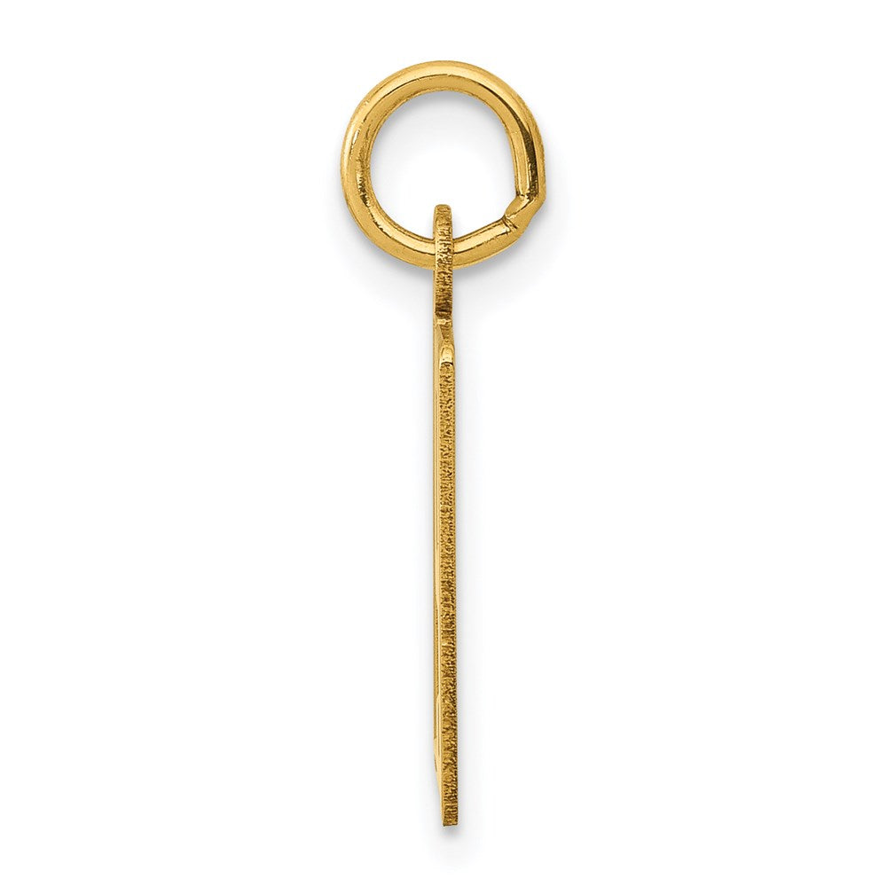 14K Yellow Gold Small Elongated Number 79 Charm