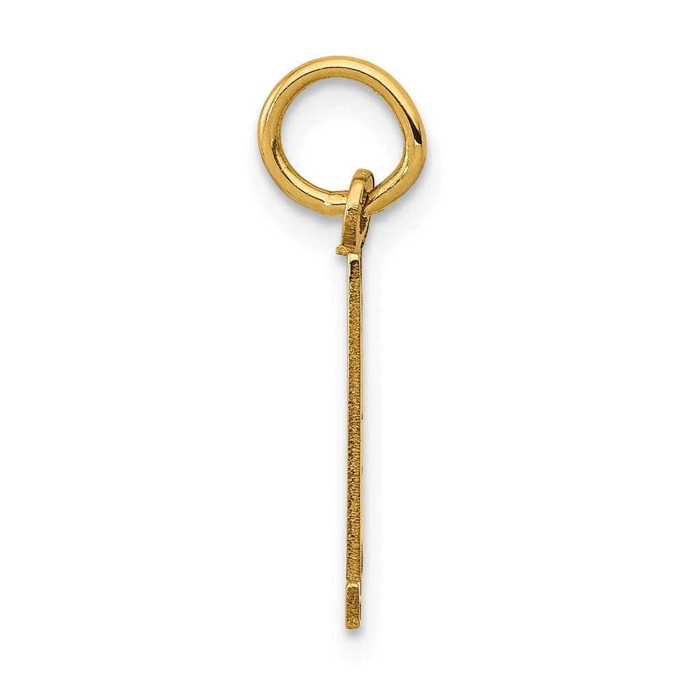 14K Yellow Gold Small Elongated Number 91 Charm