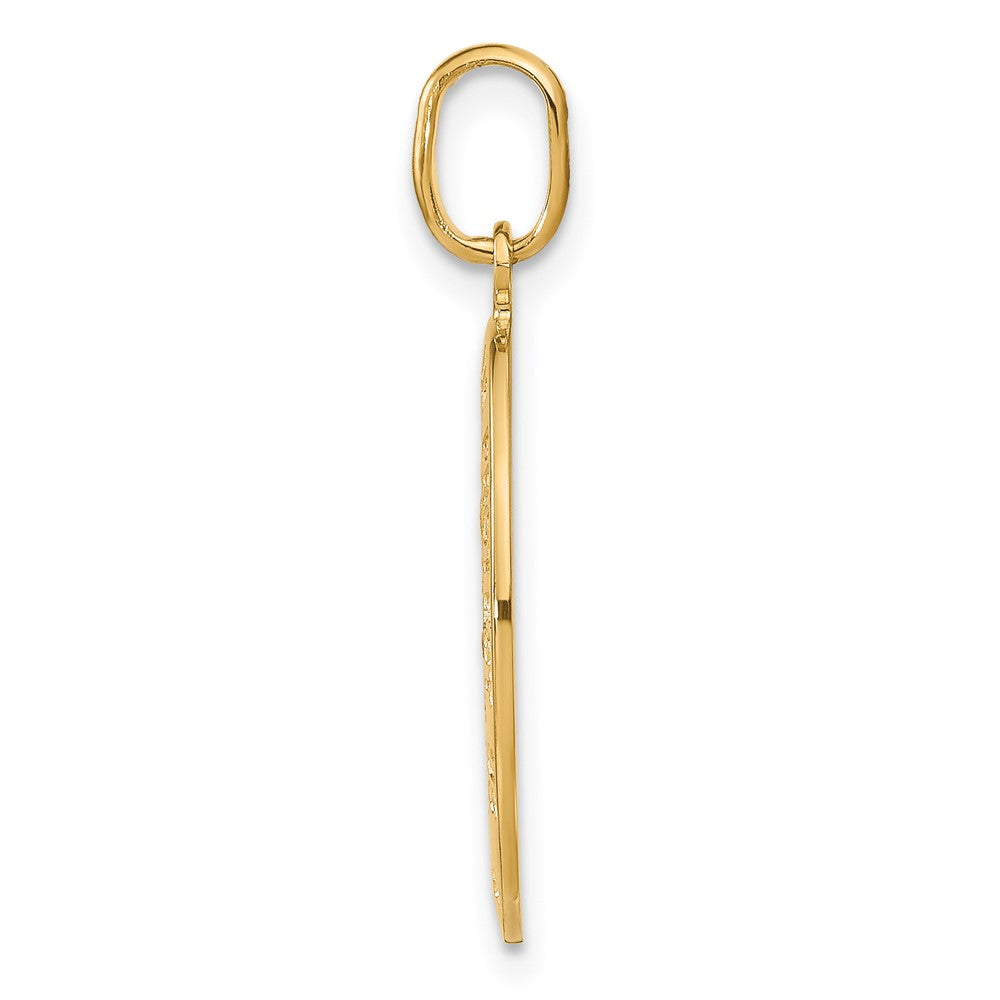14K Yellow Gold Polished And Satin Oval St. Christopher Pendant