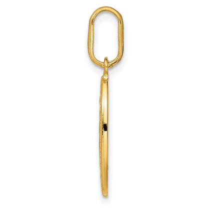 14K Yellow Gold Polished And Matte Oval Miraculous Medal