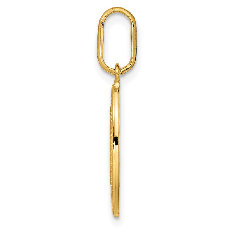 14K Yellow Gold Polished And Matte Oval Miraculous Medal