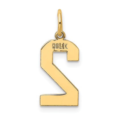 14k Yellow Gold 14k Medium Polished Number 2 Charm