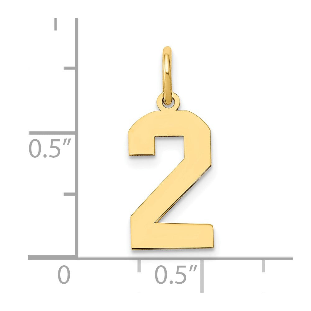 14k Yellow Gold 14k Medium Polished Number 2 Charm