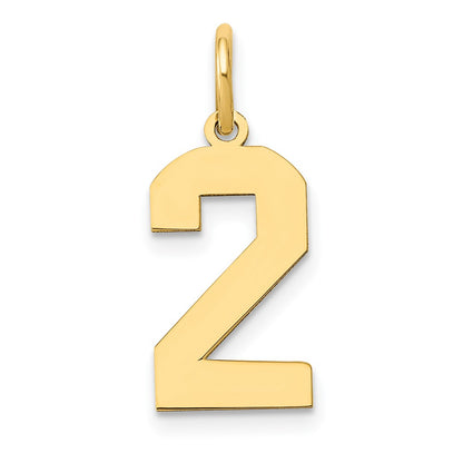 14k Yellow Gold 14k Medium Polished Number 2 Charm