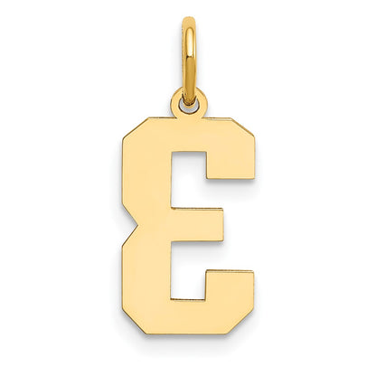 14k Yellow Gold 14k Medium Polished Number 3 Charm