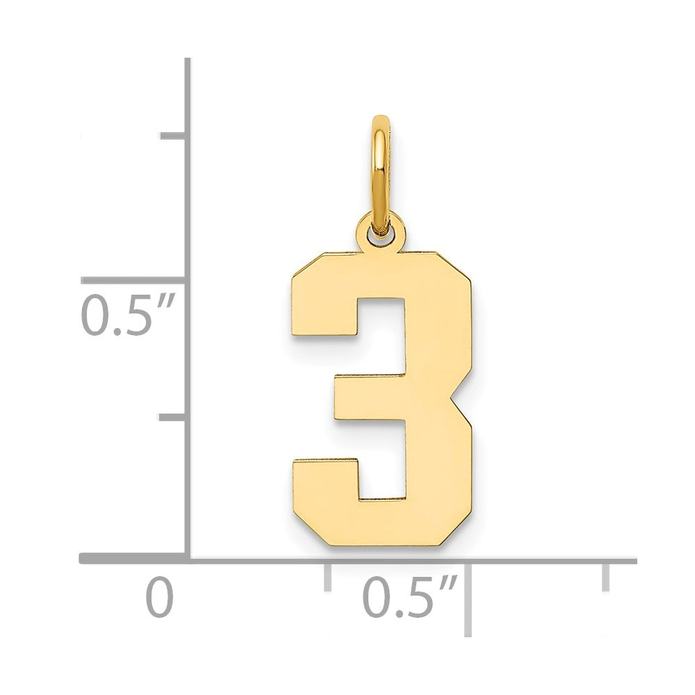14k Yellow Gold 14k Medium Polished Number 3 Charm