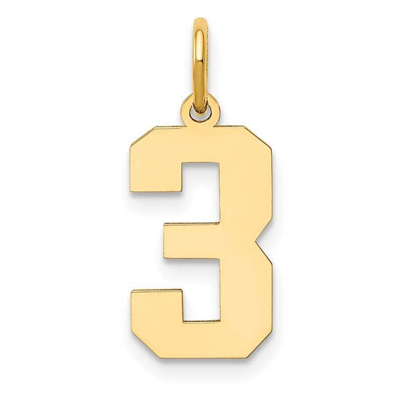 14k Yellow Gold 14k Medium Polished Number 3 Charm