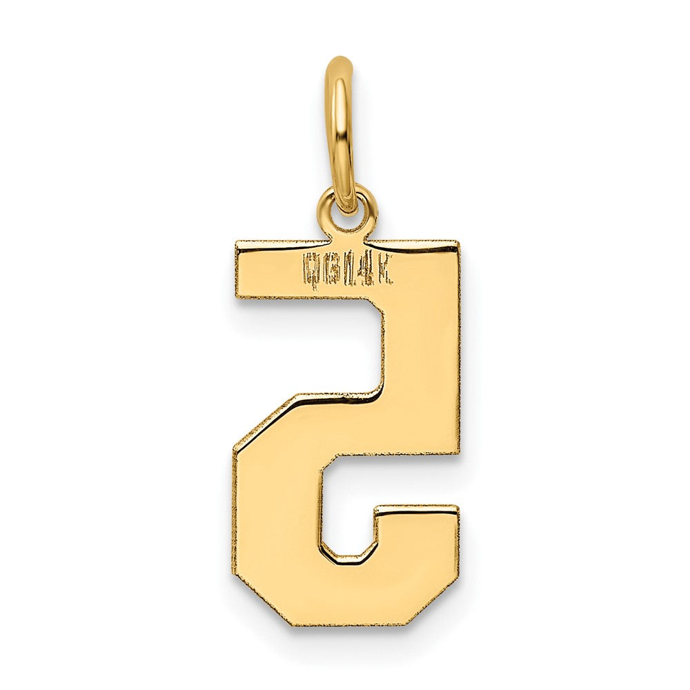 14k Yellow Gold 14k Medium Polished Number 5 Charm