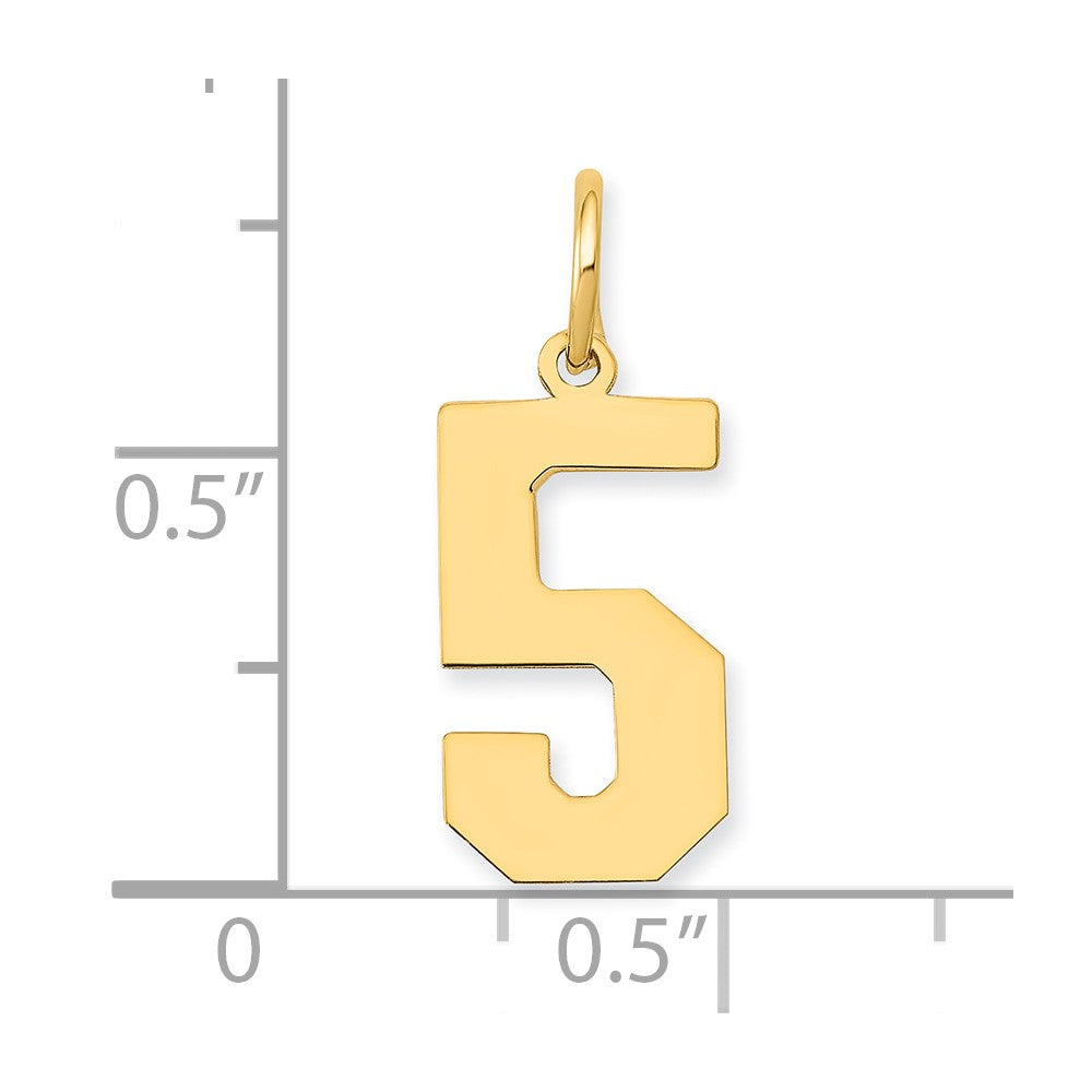 14k Yellow Gold 14k Medium Polished Number 5 Charm