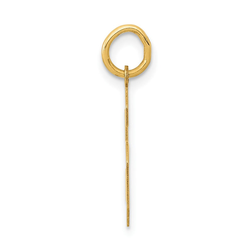 14k Yellow Gold 14k Medium Polished Number 6 Charm