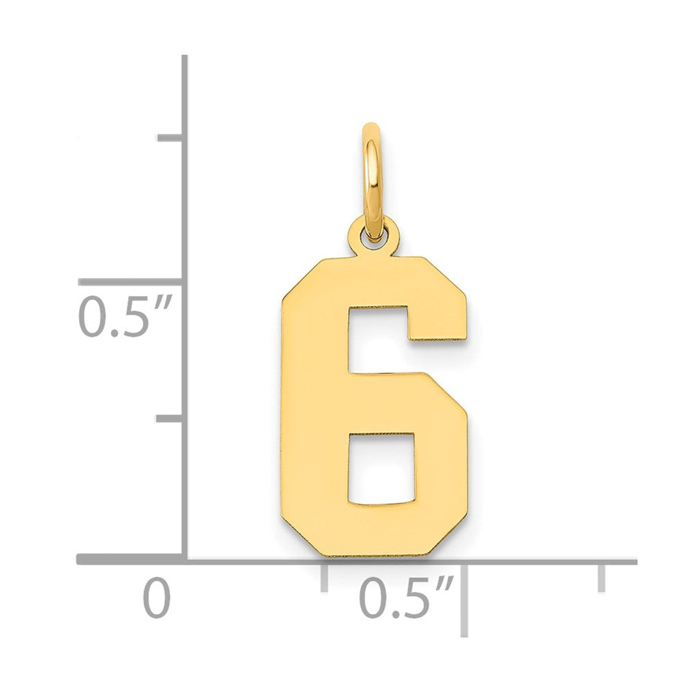 14k Yellow Gold 14k Medium Polished Number 6 Charm