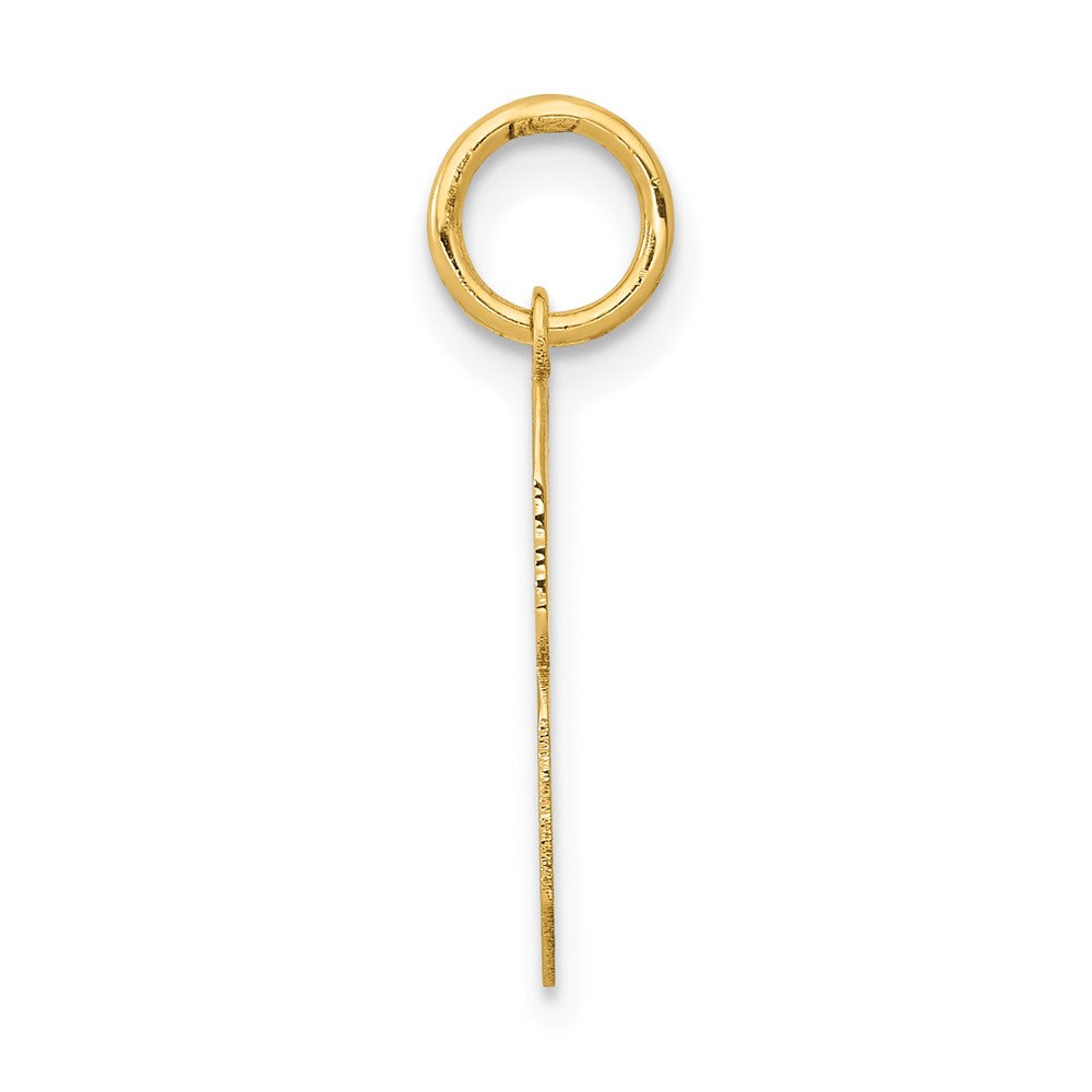 14k Yellow Gold 14k Medium Polished Number 8 Charm