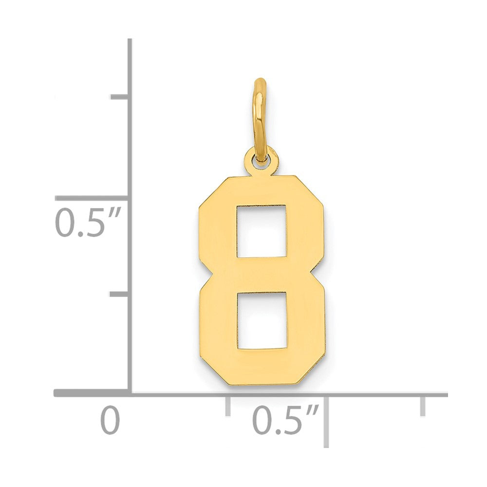 14k Yellow Gold 14k Medium Polished Number 8 Charm