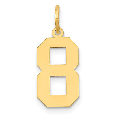 14k Yellow Gold 14k Medium Polished Number 8 Charm