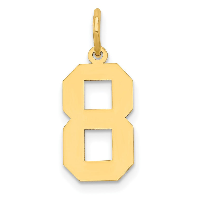 14k Yellow Gold 14k Medium Polished Number 8 Charm