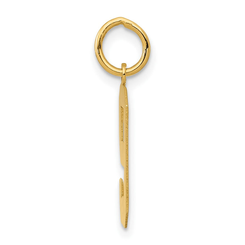 14k Yellow Gold 14k Medium Polished Number 9 Charm