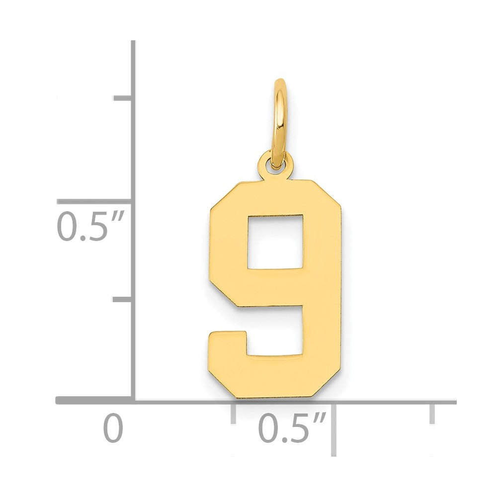 14k Yellow Gold 14k Medium Polished Number 9 Charm