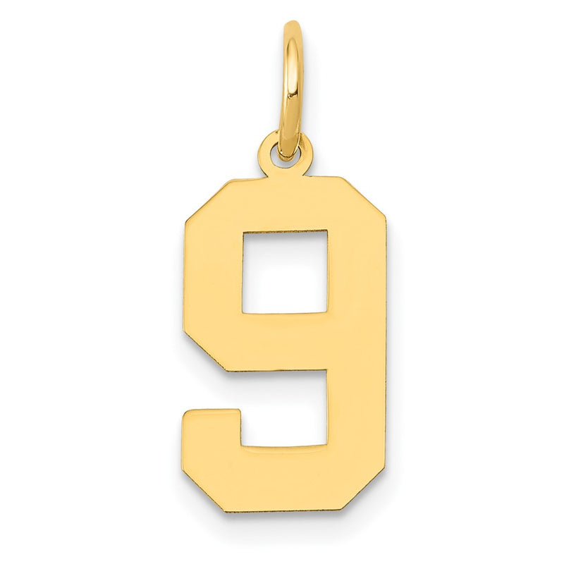 14k Yellow Gold 14k Medium Polished Number 9 Charm