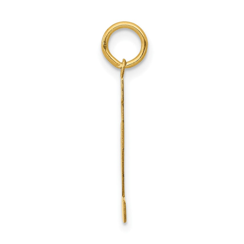 14K Yellow Gold Medium Polished Number 12 Charm