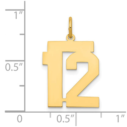 14K Yellow Gold Medium Polished Number 12 Charm