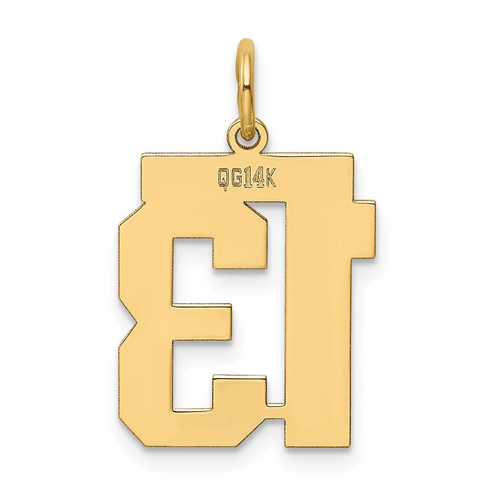 14K Yellow Gold Medium Polished Number 13 Charm