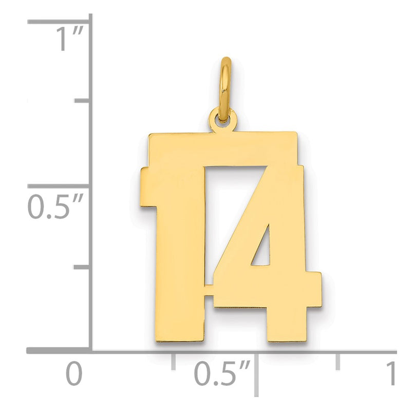 14k Yellow Gold 14k Medium Polished Number 14 Charm