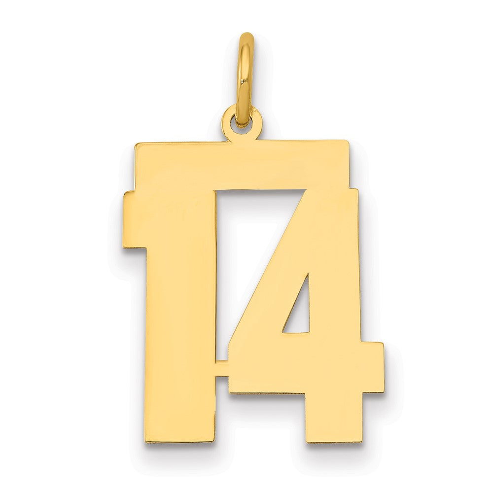 14k Yellow Gold 14k Medium Polished Number 14 Charm