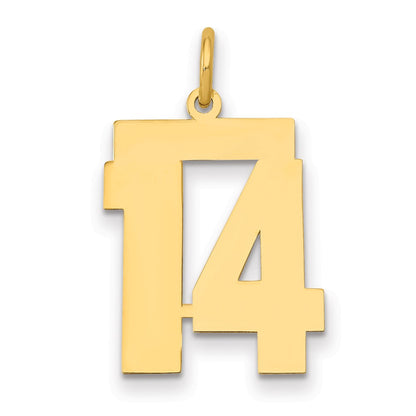 14k Yellow Gold 14k Medium Polished Number 14 Charm