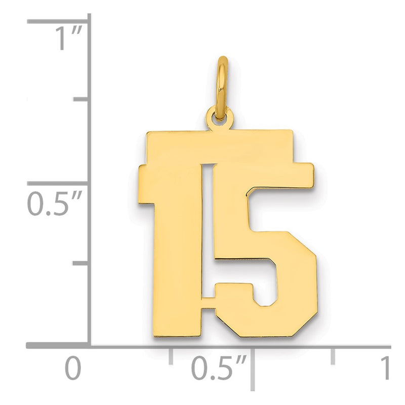 14K Yellow Gold Medium Polished Number 15 Charm