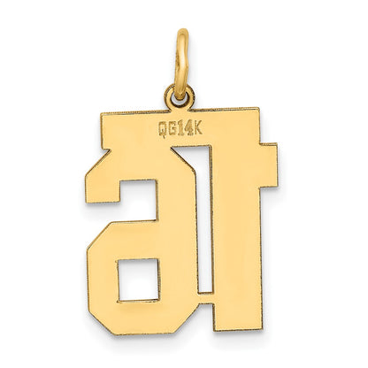 14k Yellow Gold 14k Medium Polished Number 16 Charm