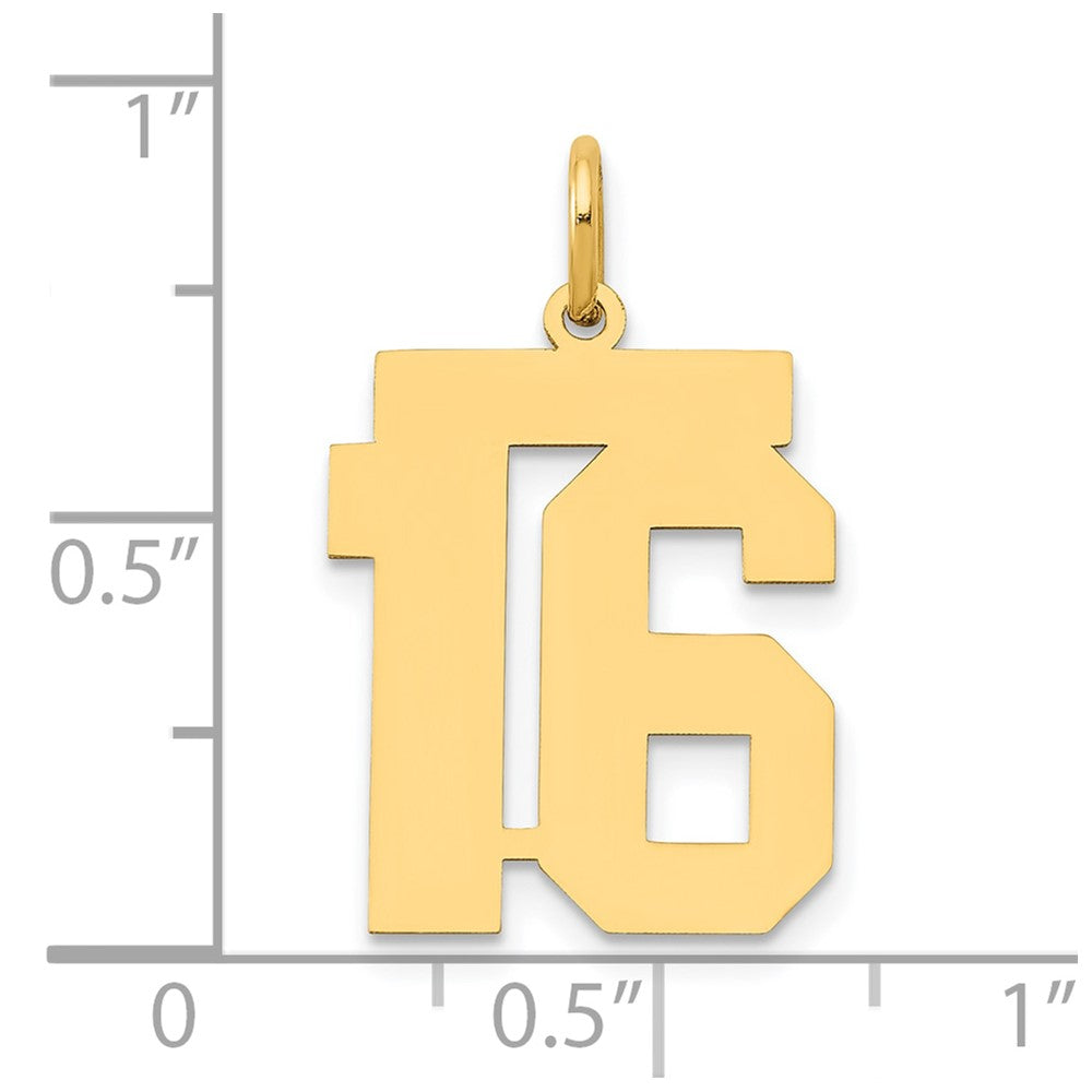 14k Yellow Gold 14k Medium Polished Number 16 Charm