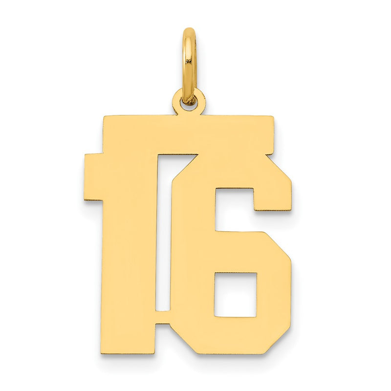 14k Yellow Gold 14k Medium Polished Number 16 Charm