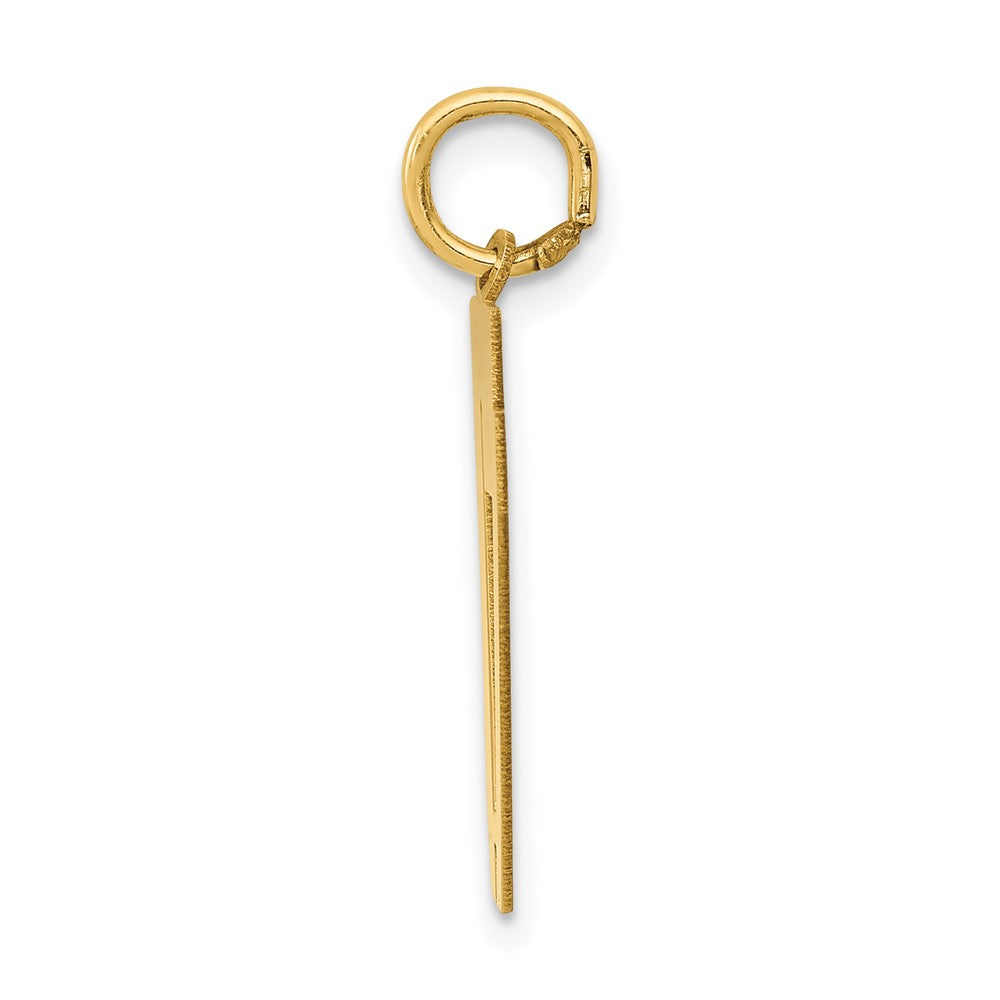 14k Yellow Gold 14k Medium Polished Number 17 Charm