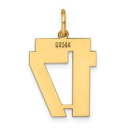 14k Yellow Gold 14k Medium Polished Number 17 Charm