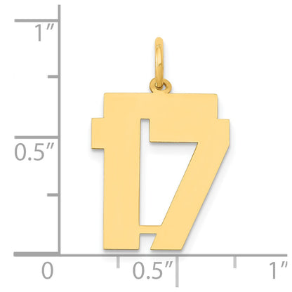 14k Yellow Gold 14k Medium Polished Number 17 Charm