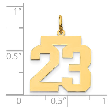 14k Yellow Gold 14k Medium Polished Number 23 Charm