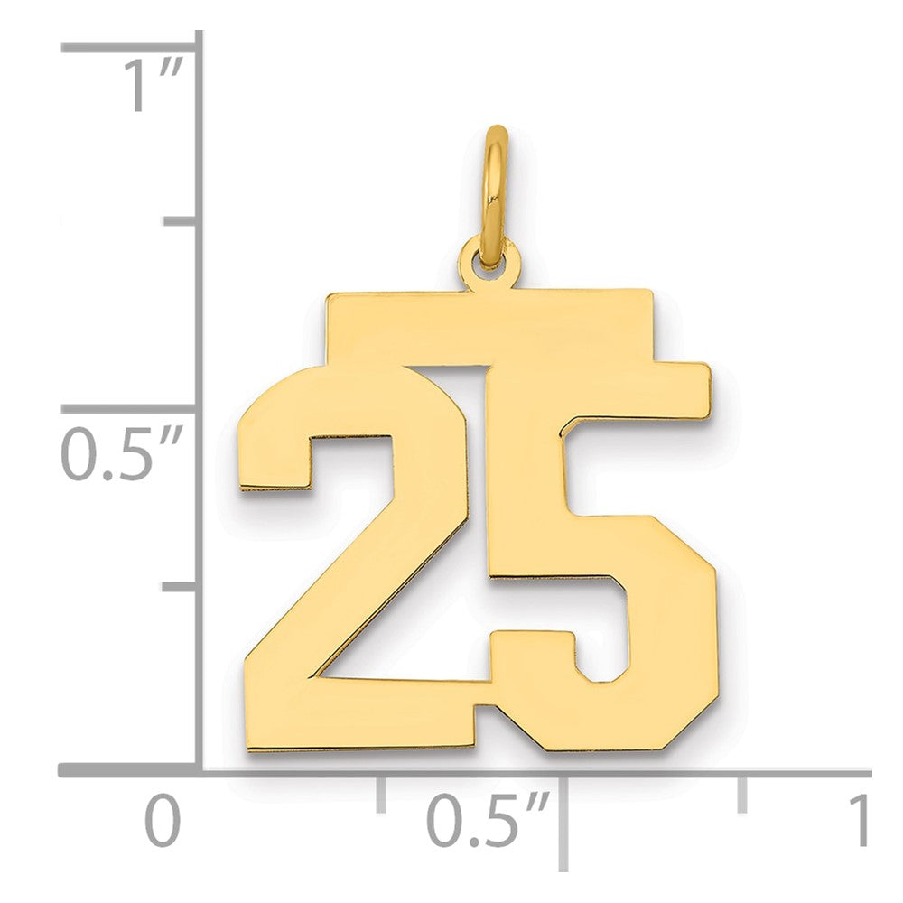 14K Yellow Gold Medium Polished Number 25 Charm