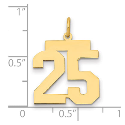 14K Yellow Gold Medium Polished Number 25 Charm