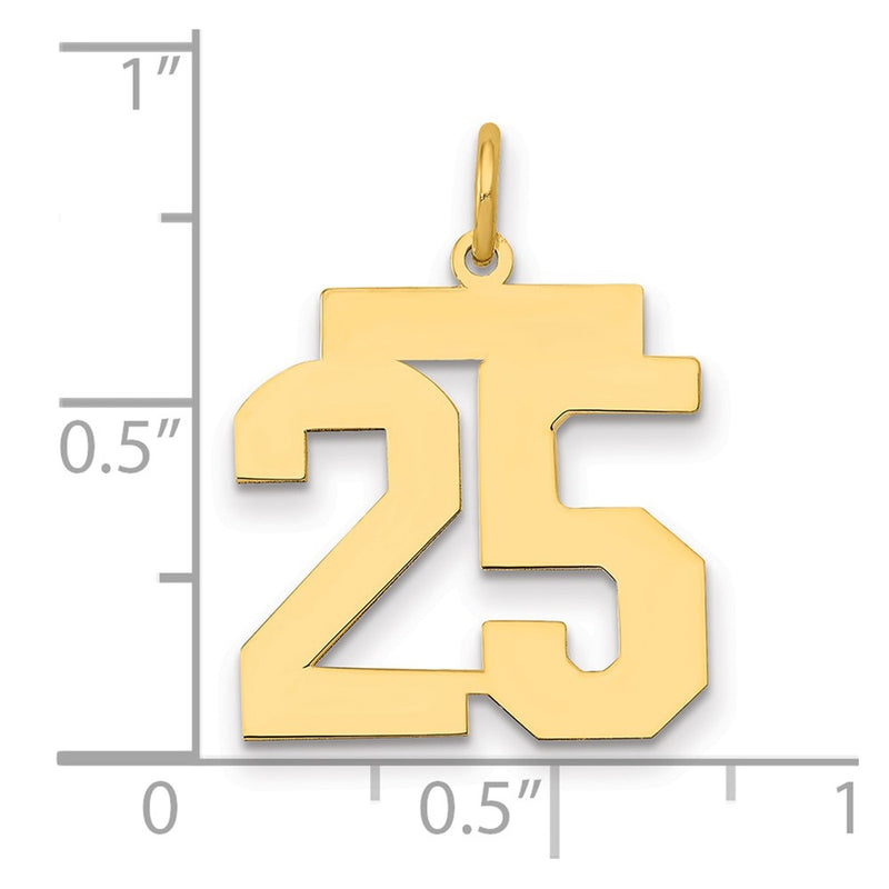 14K Yellow Gold Medium Polished Number 25 Charm