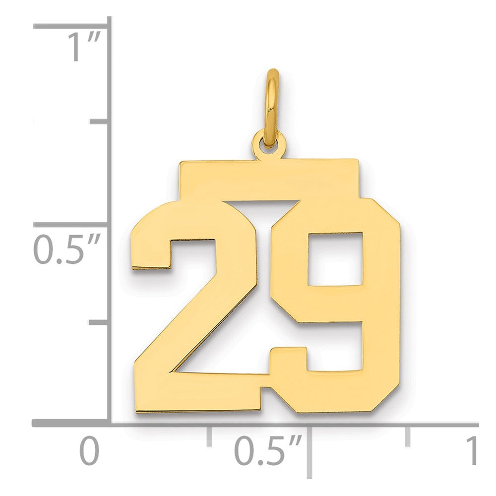 14K Yellow Gold Medium Polished Number 29 Charm