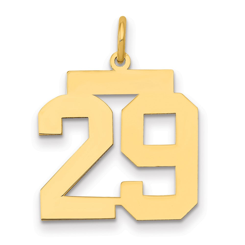 14K Yellow Gold Medium Polished Number 29 Charm