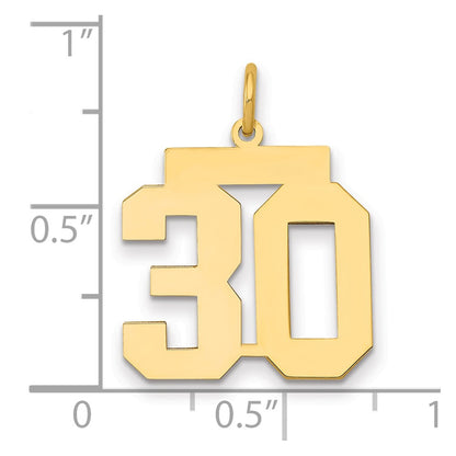 14K Yellow Gold Medium Polished Number 30 Charm