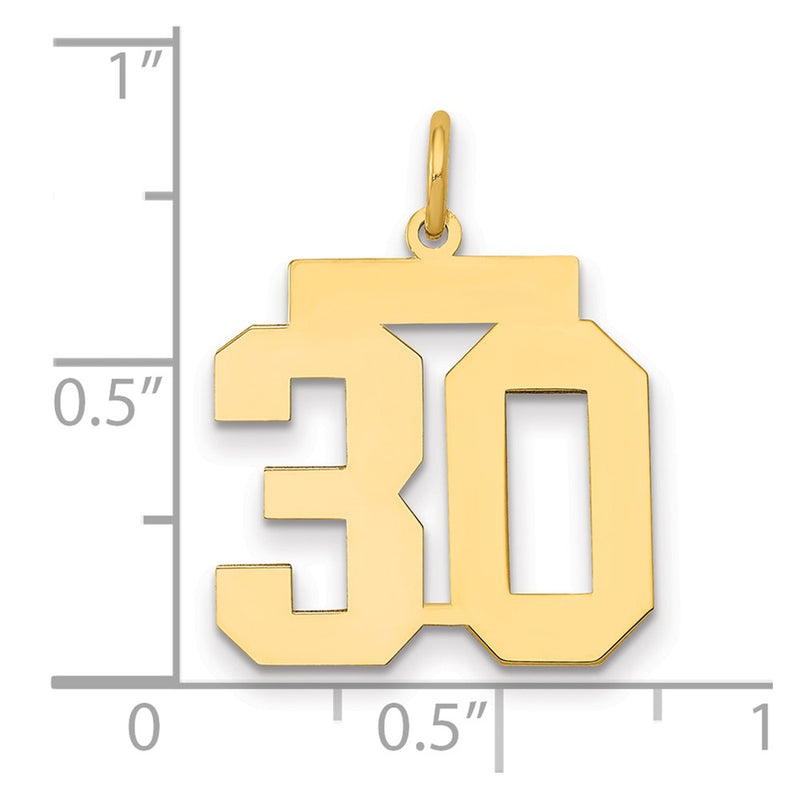 14K Yellow Gold Medium Polished Number 30 Charm