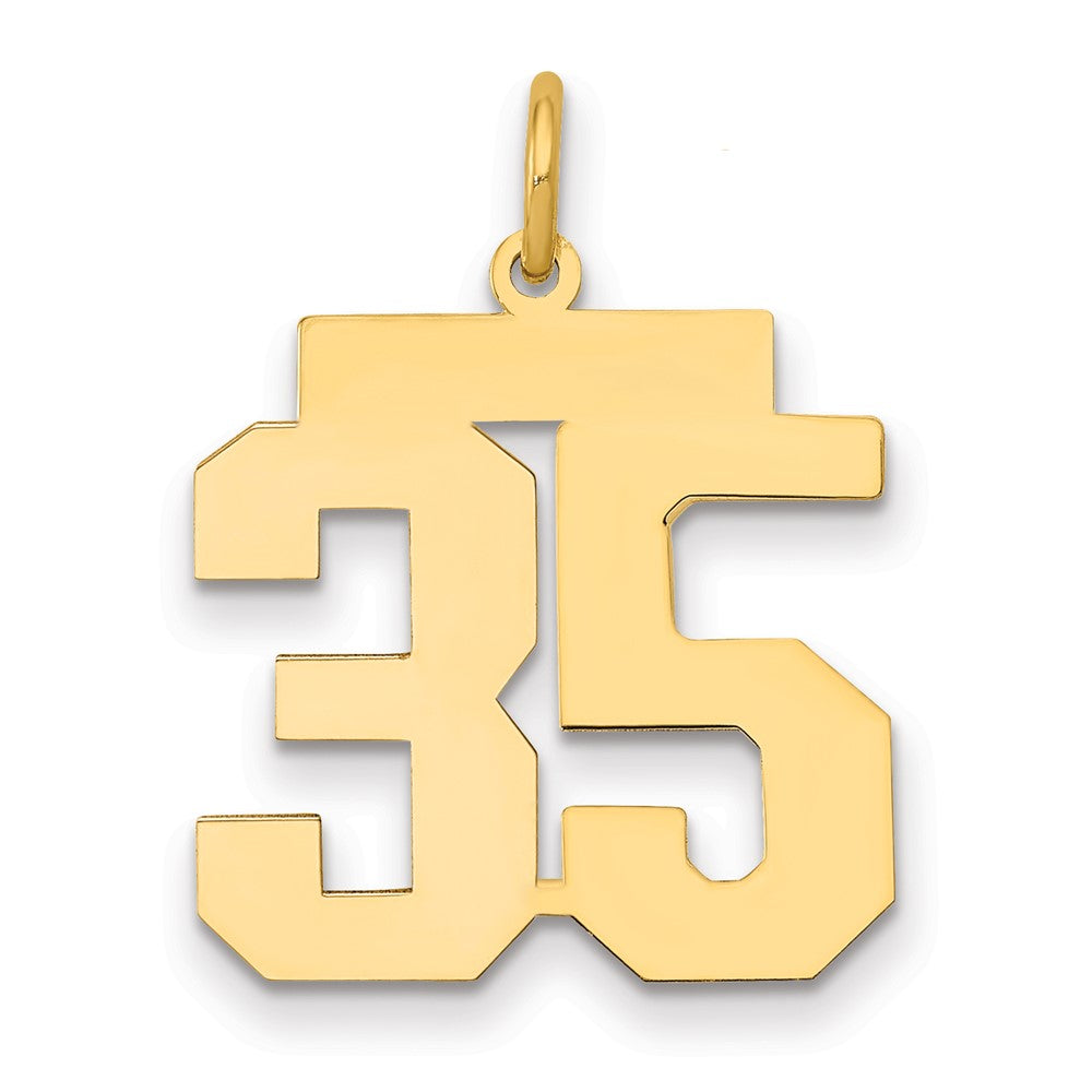 14K Yellow Gold Medium Polished Number 35 Charm