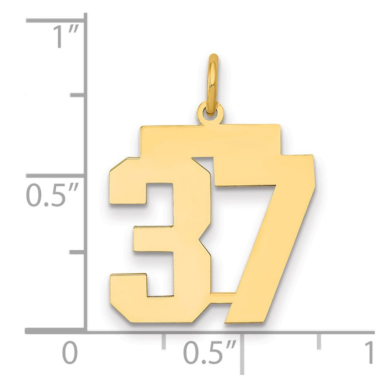 14K Yellow Gold Medium Polished Number 37 Charm